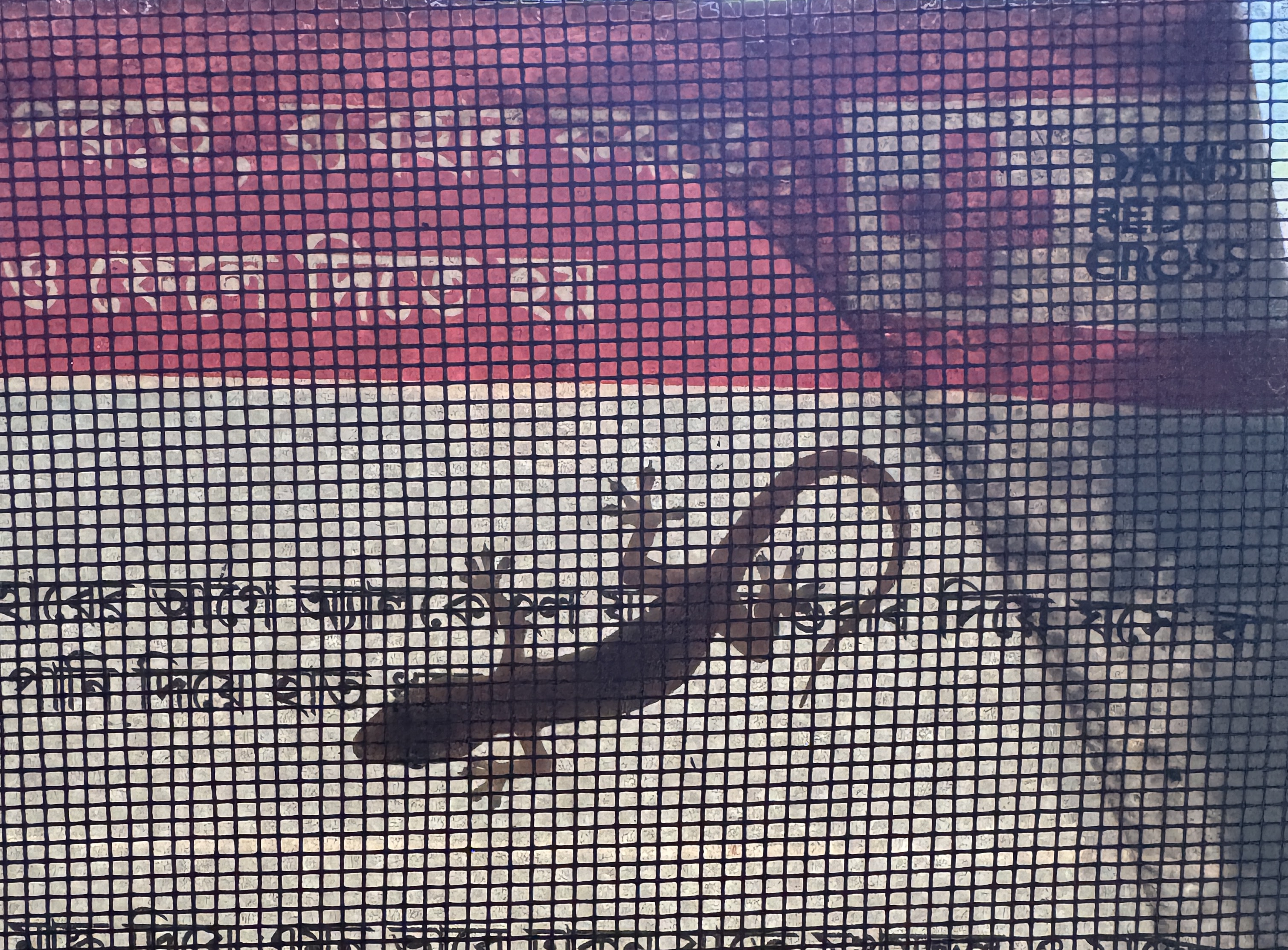 Counselor-Proof Safety System Playbook