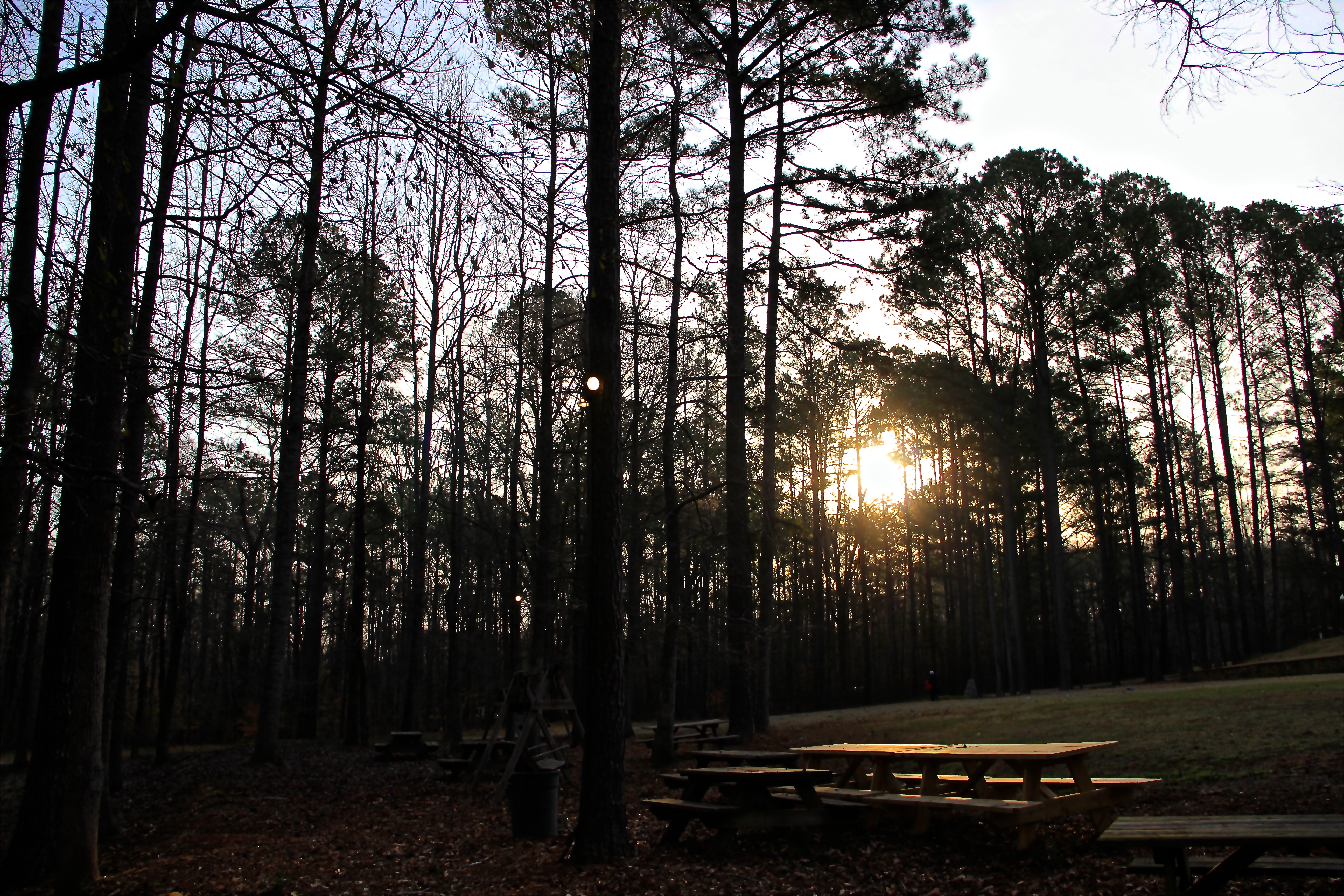 International camp leadership team